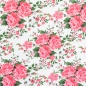 Preview: Baumwolle - Rosen - Weiß