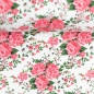 Preview: Baumwolle - Rosen - Weiß