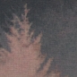 Preview: Jersey Swafing - Mystic Woods by Thorsten Berger - Panel - Frau Altrosa - Panel 6,76€