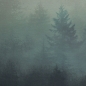 Preview: Jersey Swafing - Mystic Woods by Thorsten Berger - Panel - Mann Smaragd - Panel 6,76€