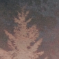 Preview: Jersey Swafing - Mystic Woods by Thorsten Berger - Panel - Mann Altrosa - Panel 6,76 €
