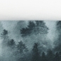 Preview: French Terry - Gloomy Hills by THORSTEN BERGER - HAZY SHADES - Panel