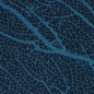 Preview: Jersey Swafing - Fan Coral by Thorsten Berger - Koralle - Dunkeltürkis
