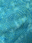 Preview: Baumwolle Patchwork - Batik - Large Circles - Türkis