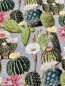 Preview: Canvas - Kakteen - grau