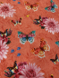 Preview: Canvas - Schmetterlinge - Apricot