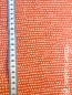 Preview: Stoffonkel Jersey  Dotted Line koralle