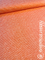 Preview: Stoffonkel Jersey  Dotted Line koralle