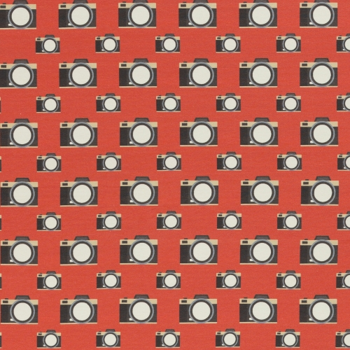 Swafing Sweat French Terry - Retro - Kamera Rot