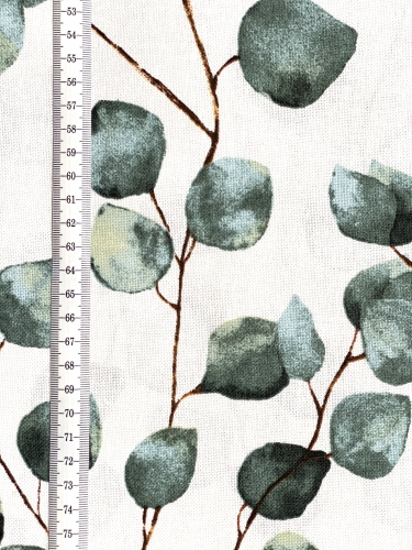 Preview: Canvas - Eukalyptus