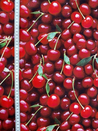 Jersey BIG CHERRIES