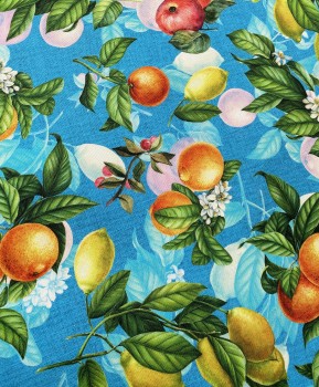 Canvas - Citrus