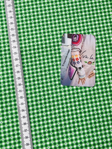 Patchwork Baumwolle - Sorbet Essentials - Karo Grün