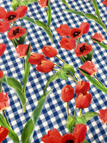Jersey DUTCH TULIPS