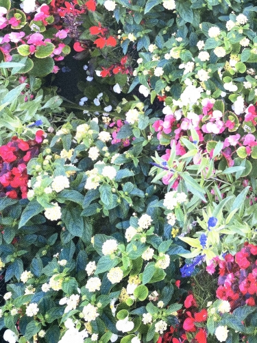 Preview: Canvas Blüten