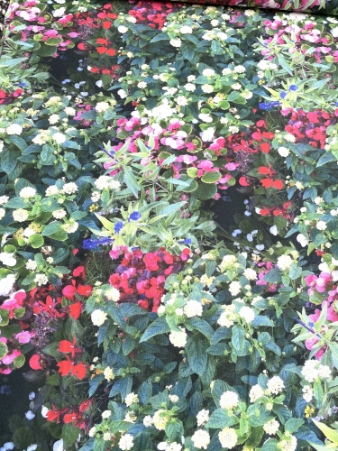 Preview: Canvas Blüten