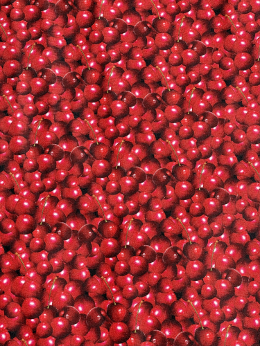 Preview: Baumwolle - Yummy Kirschen