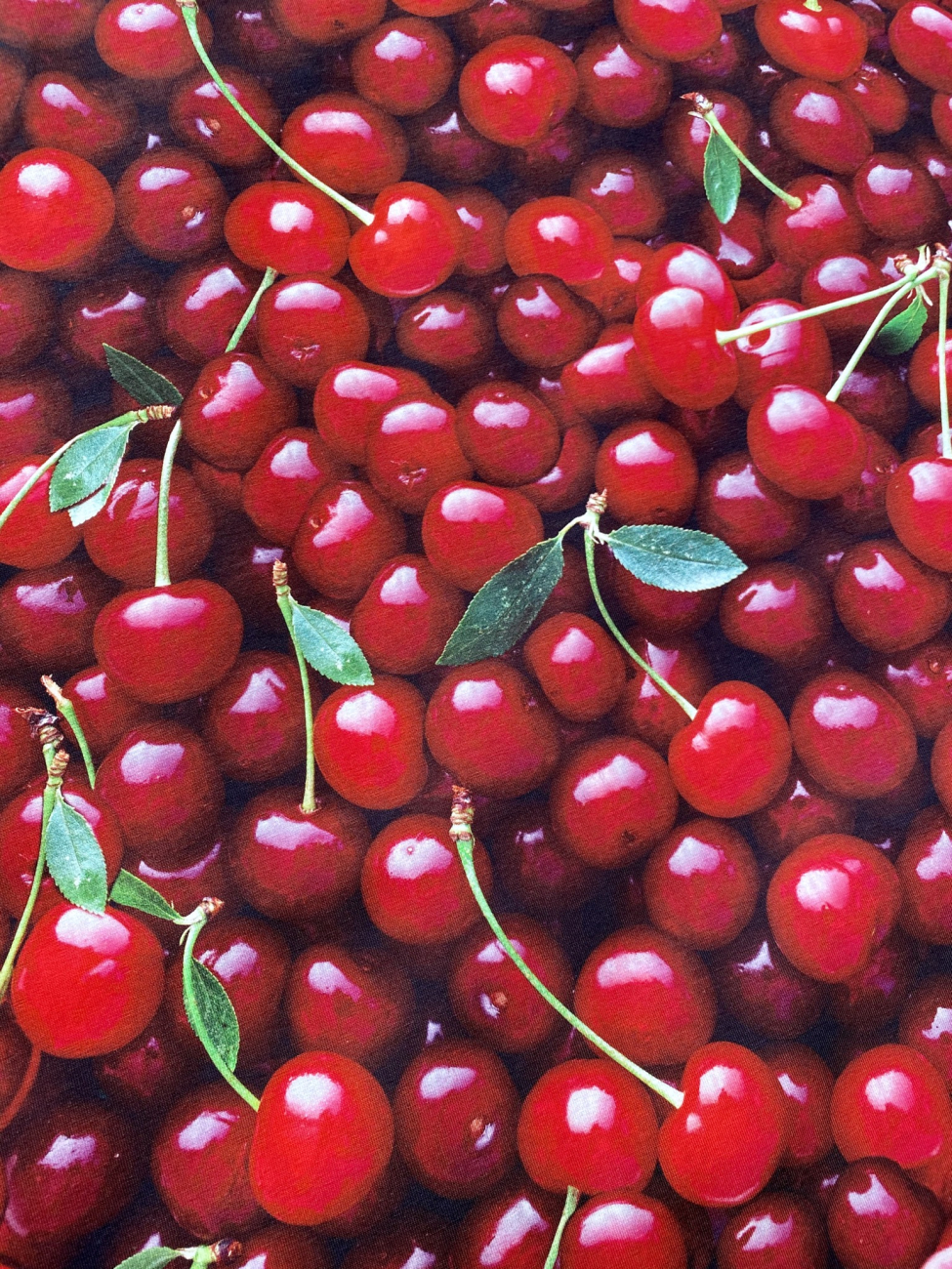 Jersey BIG CHERRIES
