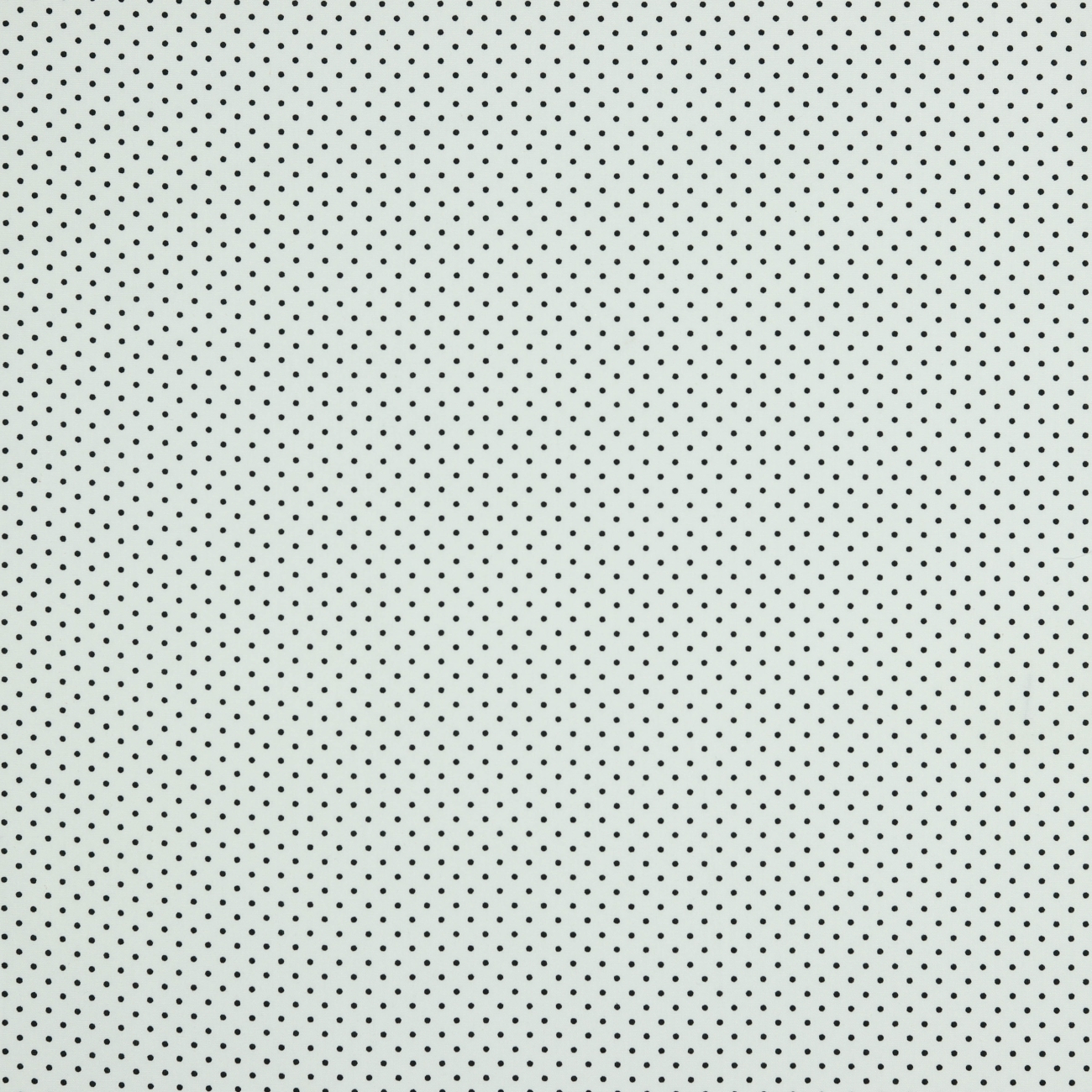 Baumwolle Popeline - Mini Punkte - Weiß/Schwarz