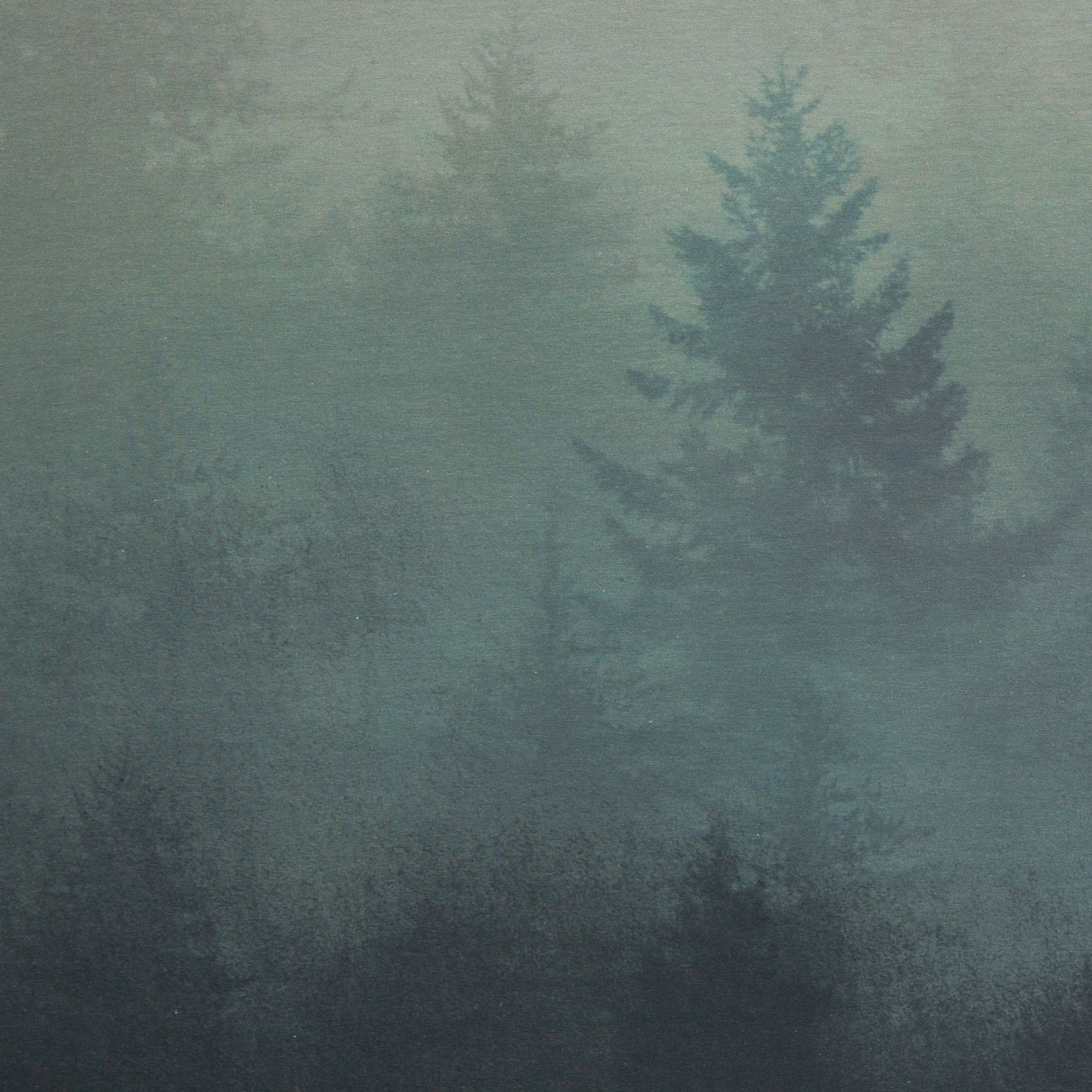 Jersey Swafing - Mystic Woods by Thorsten Berger - Panel - Mann Smaragd - Panel 6,76€