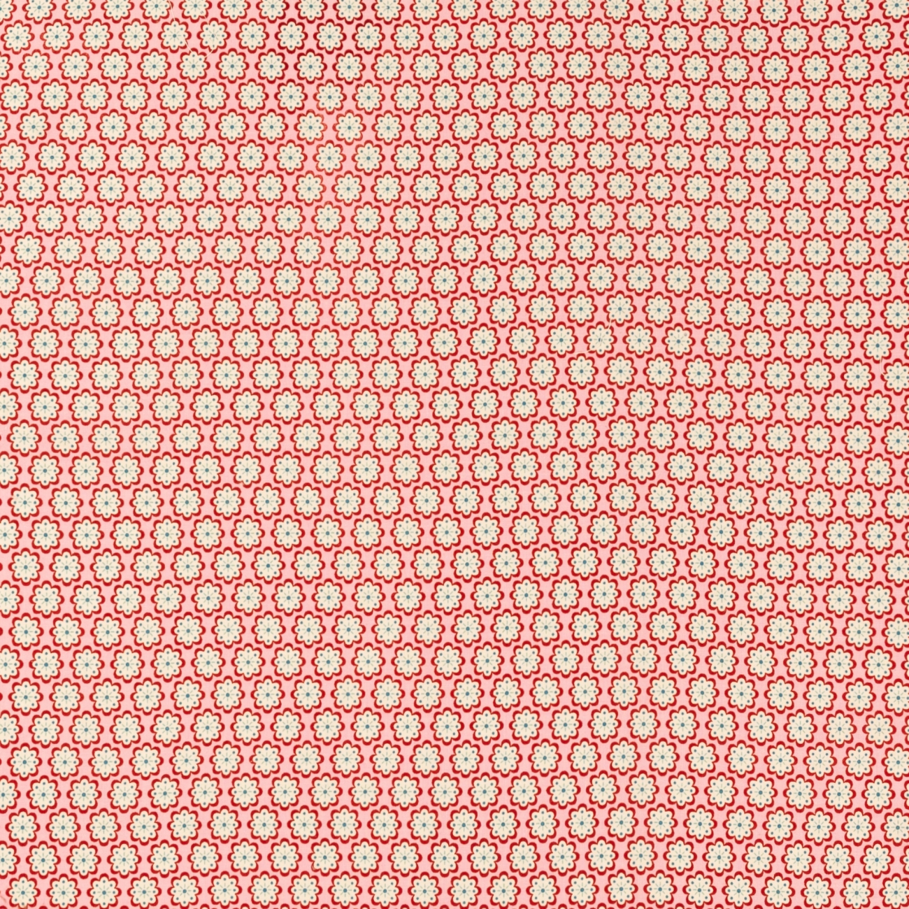 Swafing Baumwolle - Julia - Blumen - Rosa