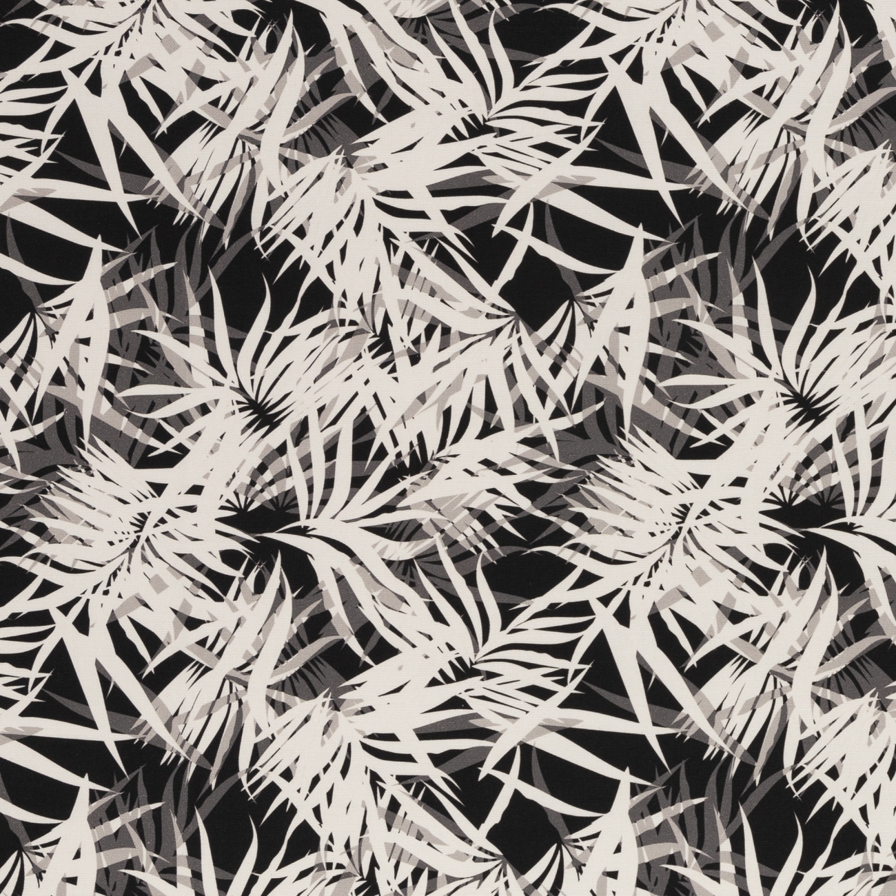 Canvas Blätter - Schwarz