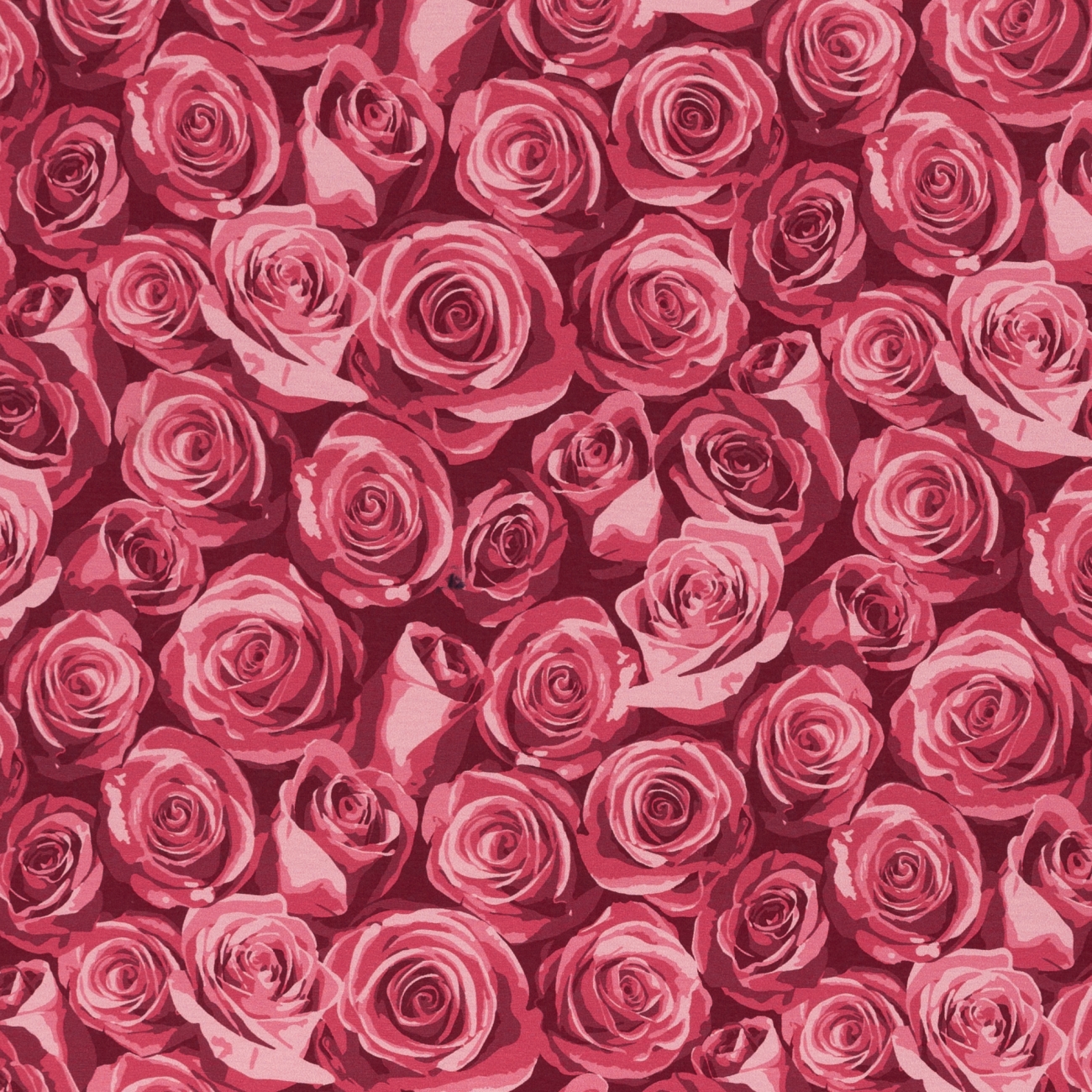 Jersey Swafing - Rosalie by lycklig design - Rosen