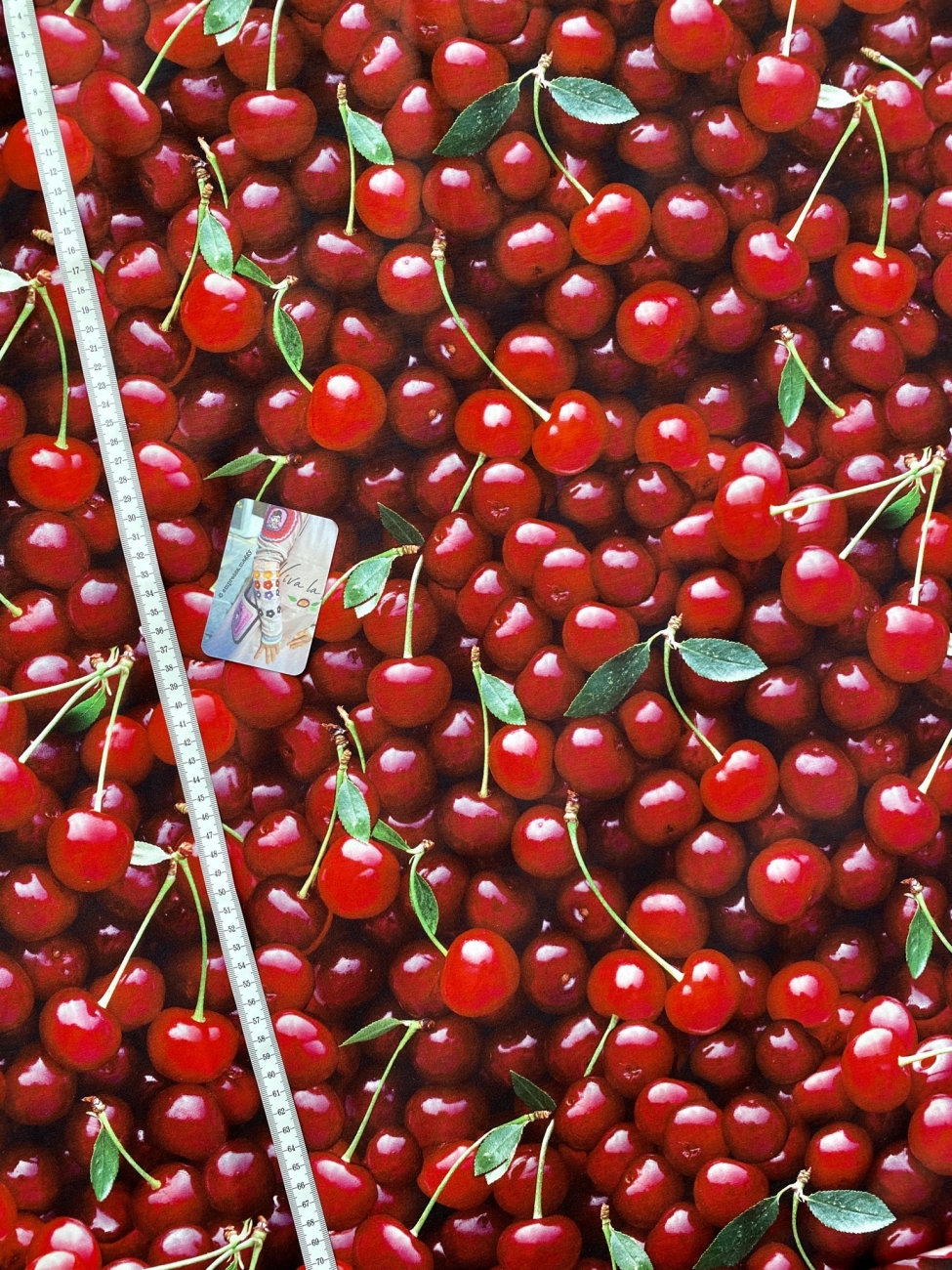Jersey BIG CHERRIES