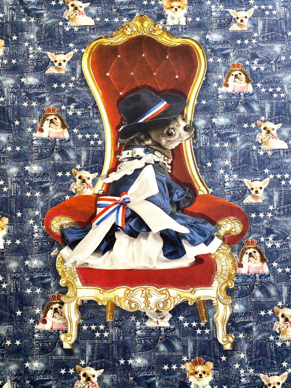 Jersey Digital Print - Queen Dogs - Rapport