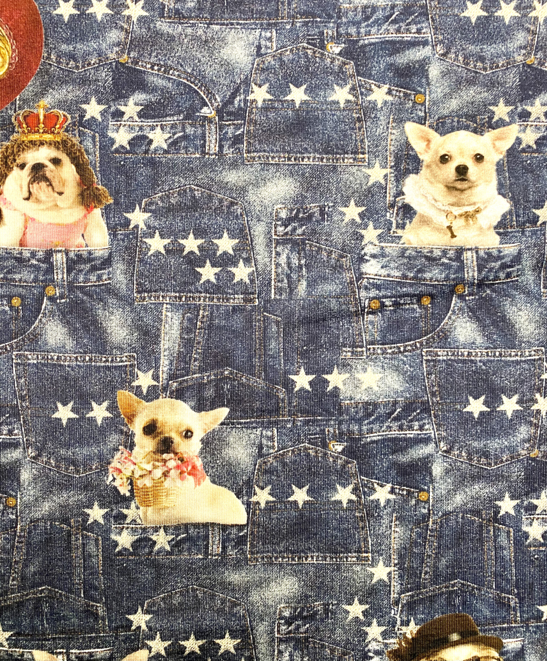 Jersey Digital Print - Queen Dogs - Rapport