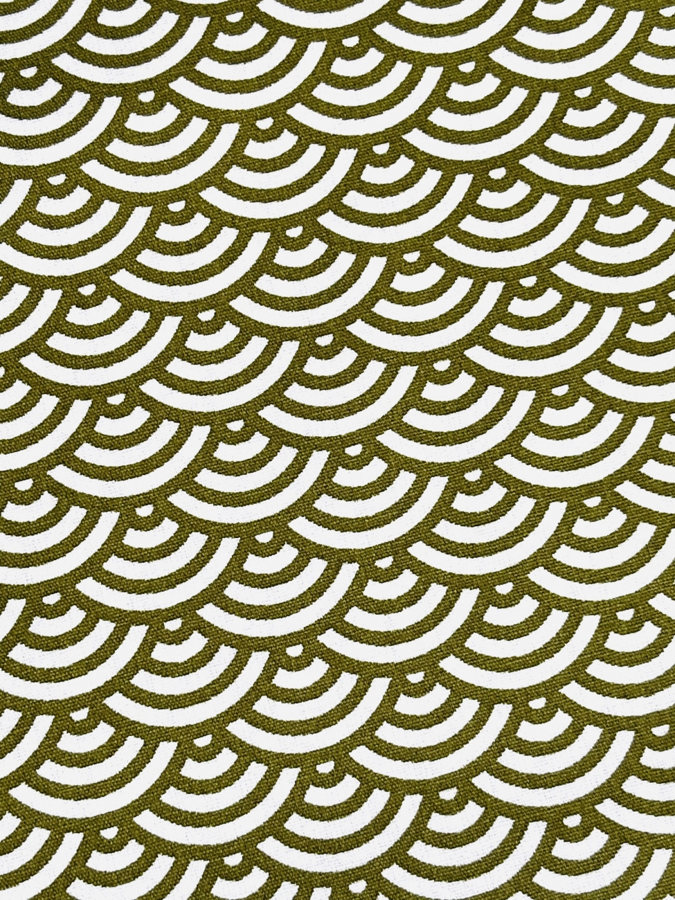 Baumwolle Swafing - Muscheln - Olivgrün