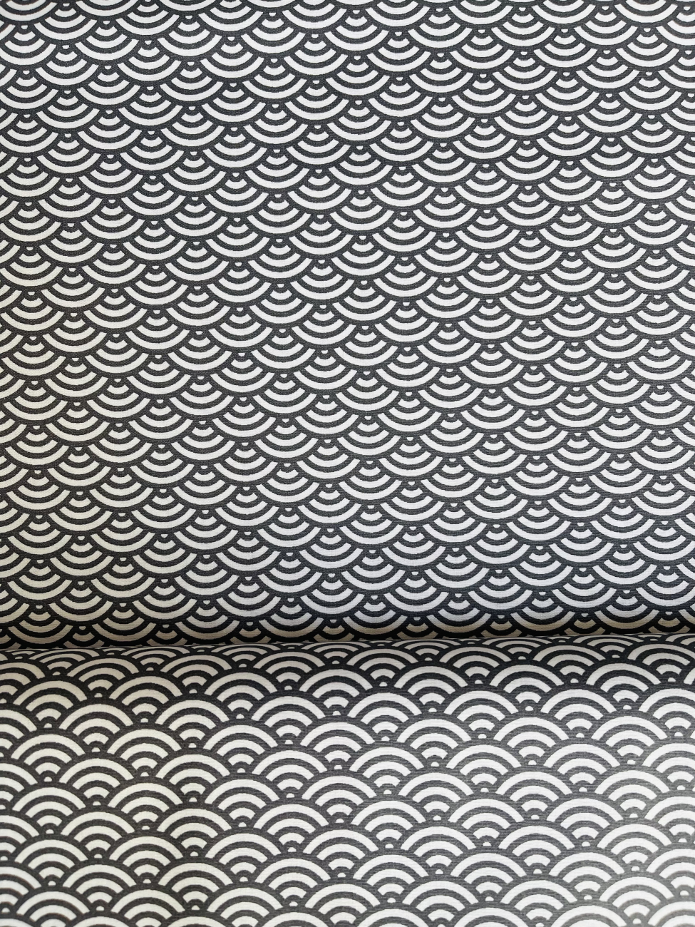Baumwolle Swafing - Muscheln - Anthrazit