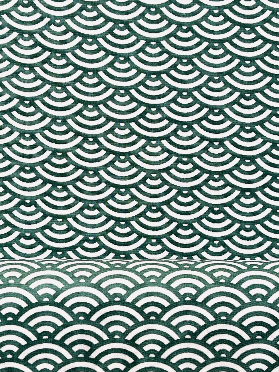 Baumwolle Swafing - Muscheln - Grün