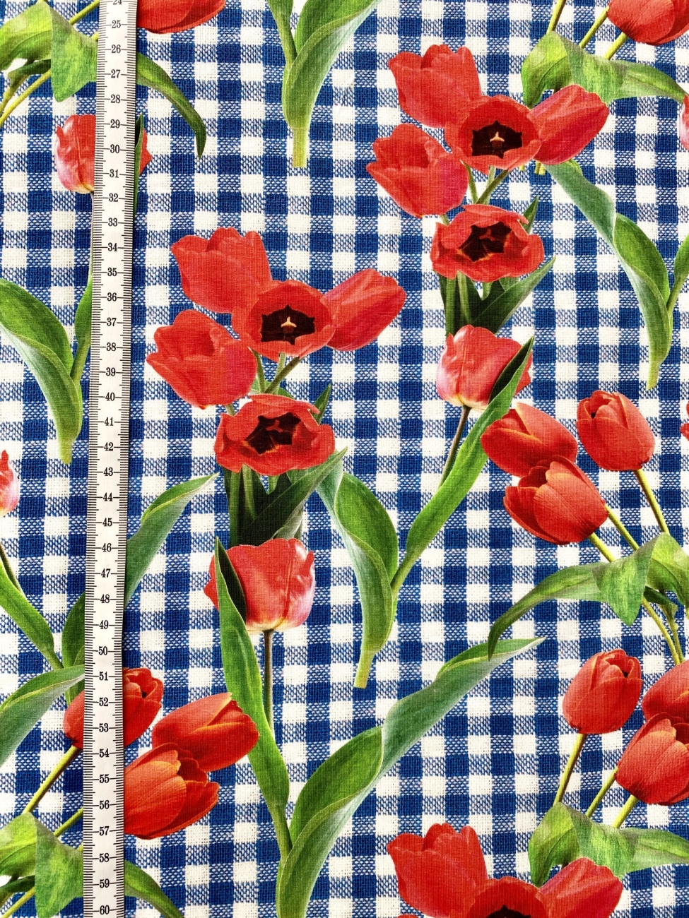 Jersey DUTCH TULIPS