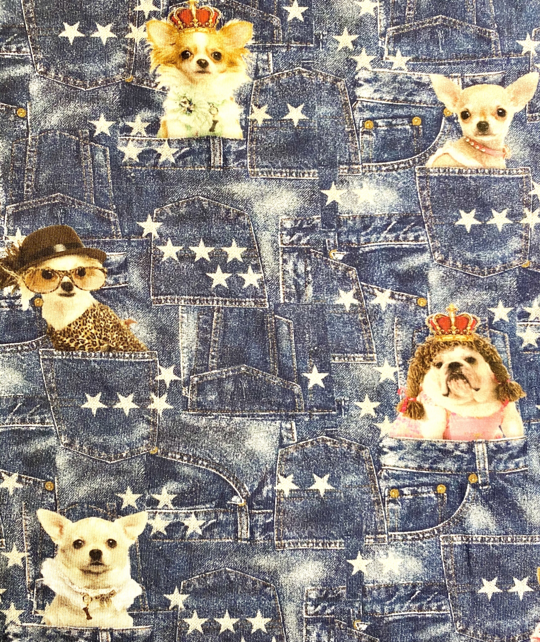 Jersey Digital Print - Queen Dogs - Rapport