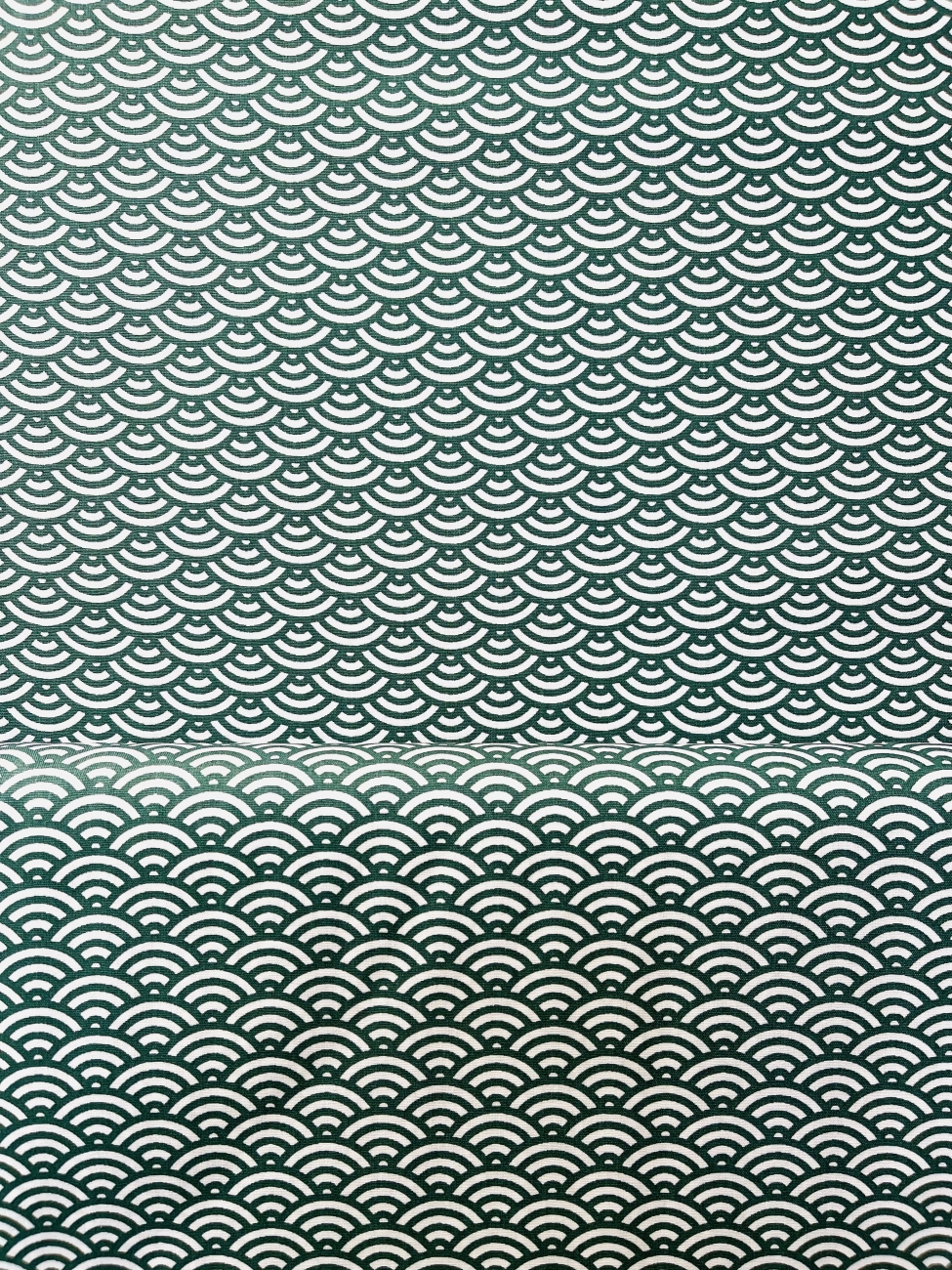 Baumwolle Swafing - Muscheln - Grün