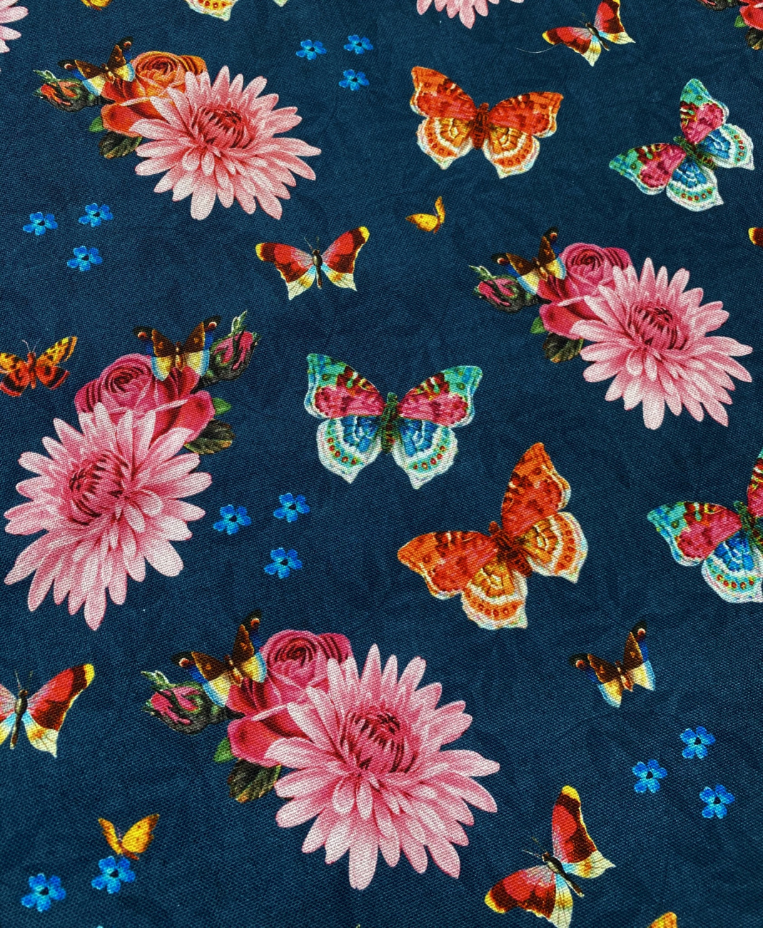 Canvas - Schmetterlinge - Blau