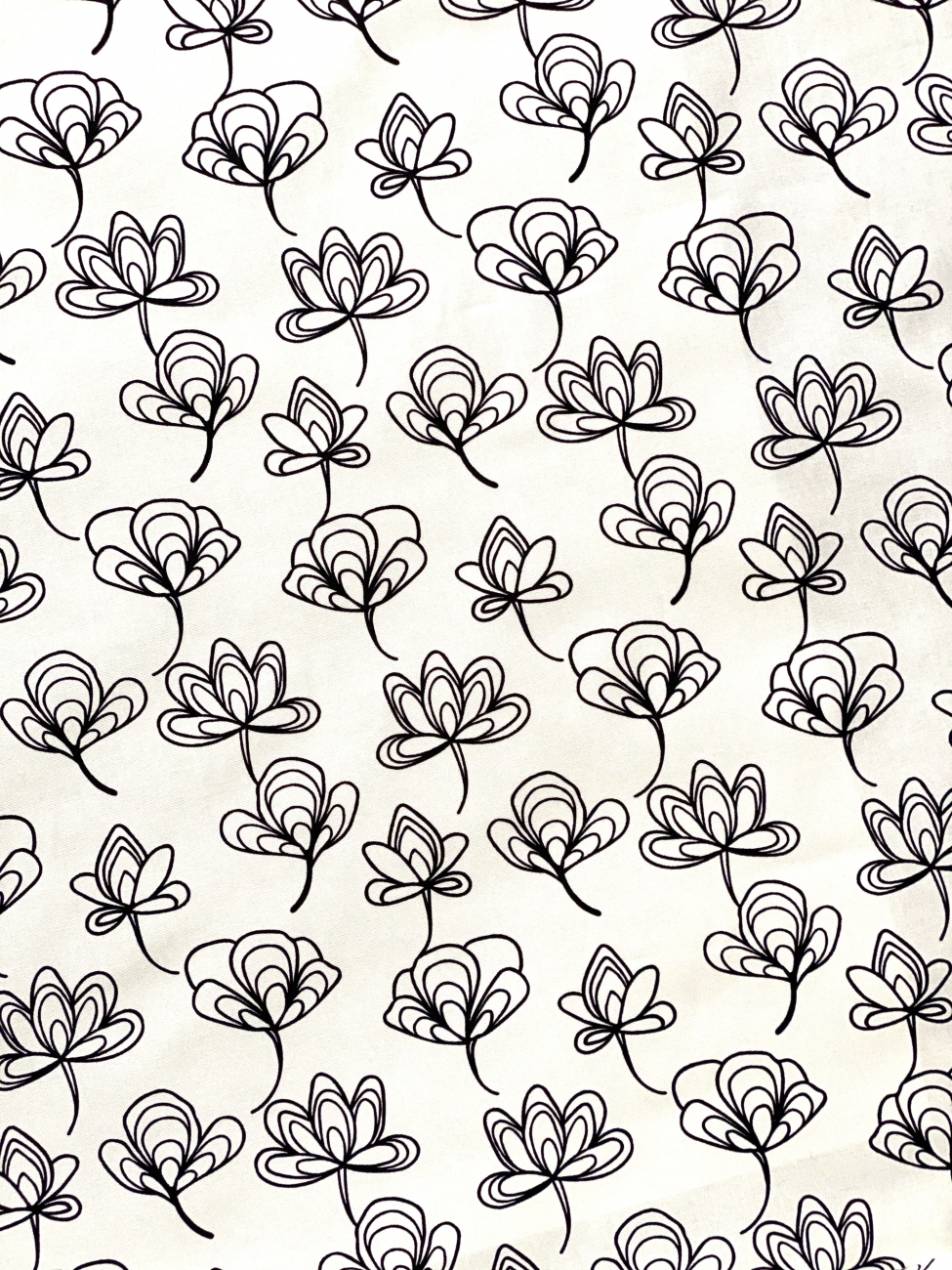 Canvas Ginko - Weiß