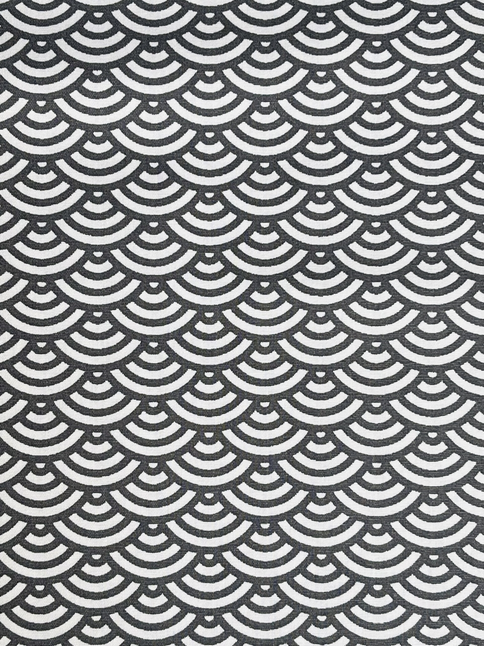 Baumwolle Swafing - Muscheln - Anthrazit