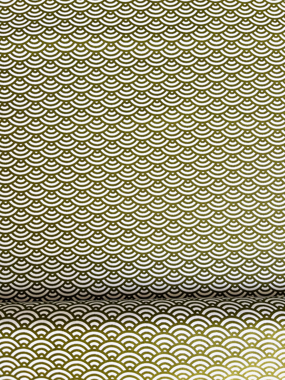 Baumwolle Swafing - Muscheln - Olivgrün