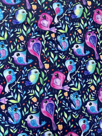 SOFTSHELL - Magnificent Bird