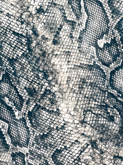 French Terry - Schlangenmuster - Petrol